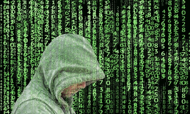 kuroi sh gabriel french hacker questioned by FBI in Tarbes